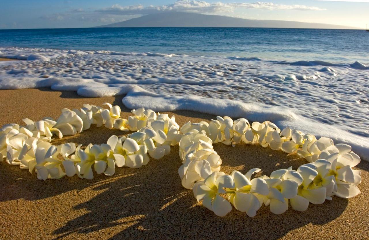 Diamond Head Views Retreat With Free Parking & Near Waikiki Beach! Гонолулу Екстер'єр фото