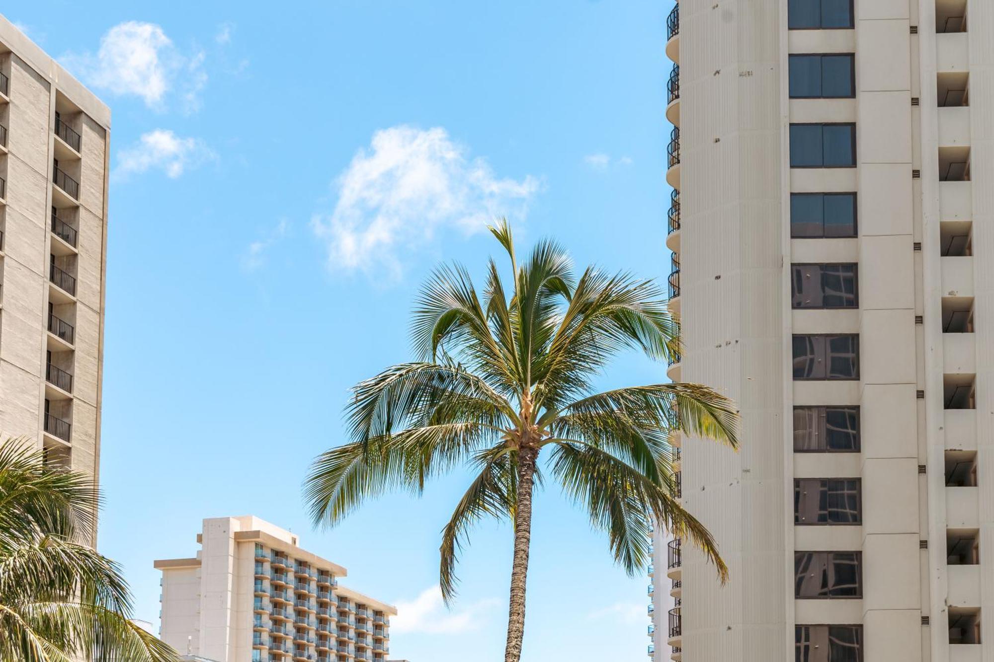 Diamond Head Views Retreat With Free Parking & Near Waikiki Beach! Гонолулу Екстер'єр фото
